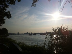 Boston Summer Sunset over the Basin. Enjoy more of these on the Renegade Rowing Team! Tue/Wed nights 6:30-8pm