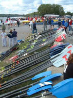 All the oars at last years Textile River Regatta!