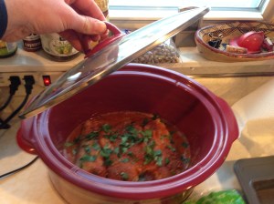 Shredded Taco Chicken