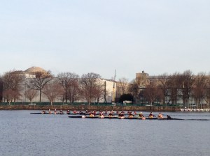 Did you see any racing over the weekend?